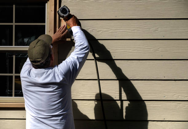 Best Historical Building Siding Restoration  in Jackson, MI