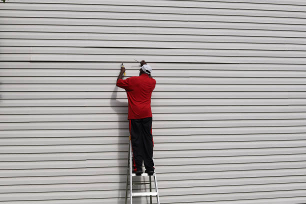 Best Composite Siding  in Jackson, MI