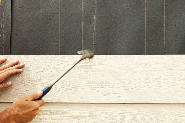 Affordable Siding Repair and Maintenance Services in Jackson, MI