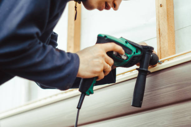 Best Aluminum Siding Installation  in Jackson, MI